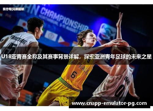 U18亚青赛全称及其赛事背景详解，探索亚洲青年足球的未来之星