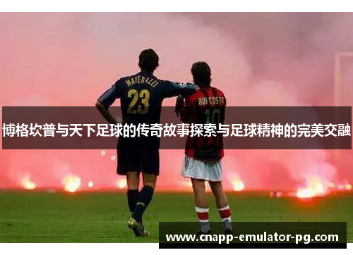 博格坎普与天下足球的传奇故事探索与足球精神的完美交融