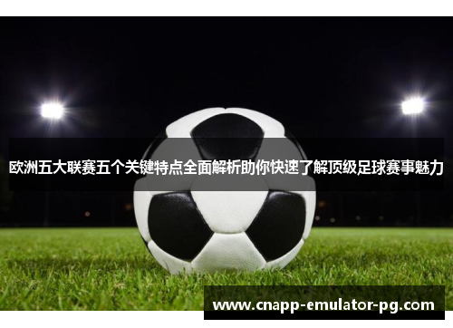 欧洲五大联赛五个关键特点全面解析助你快速了解顶级足球赛事魅力