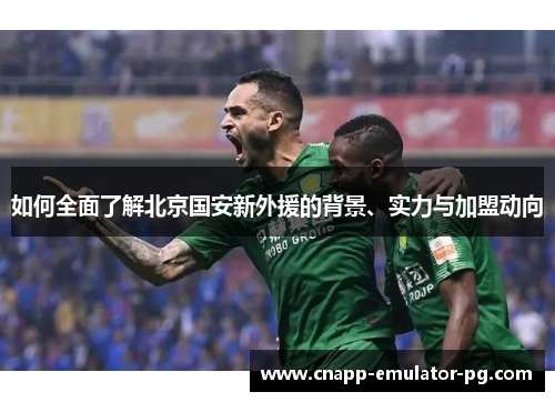 如何全面了解北京国安新外援的背景、实力与加盟动向