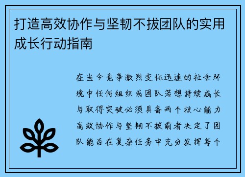 打造高效协作与坚韧不拔团队的实用成长行动指南