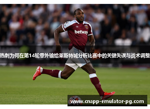 热刺为何在第14轮意外输给莱斯特城分析比赛中的关键失误与战术调整