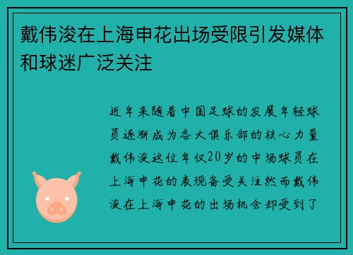 戴伟浚在上海申花出场受限引发媒体和球迷广泛关注